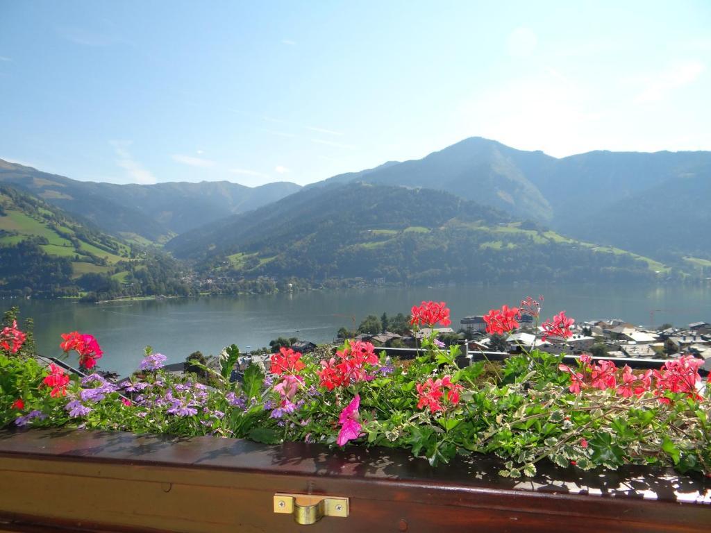Haus Sonnenheim Apartamento *